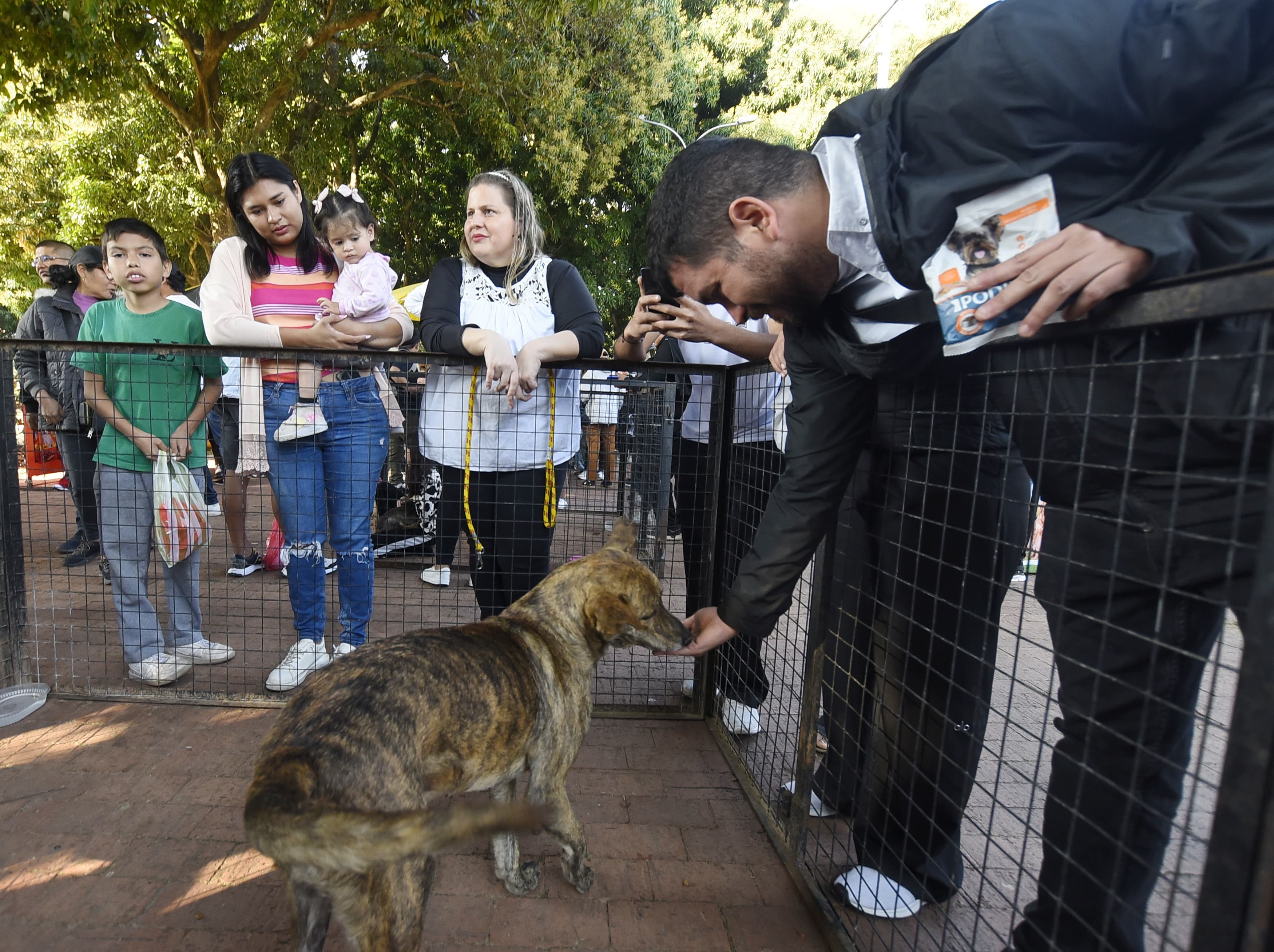 Feria de adopción de canes y felinos busca dar un nuevo hogar a mascotas rescatadas